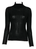 Hugenberg ribbed turtleneck sweater - Black