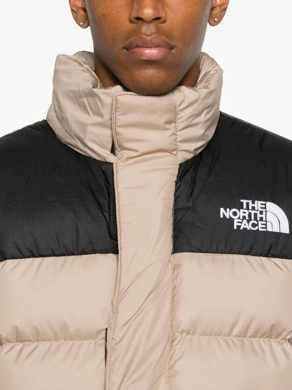 The North Face Insulated Jacket For Technical Performance In Brown