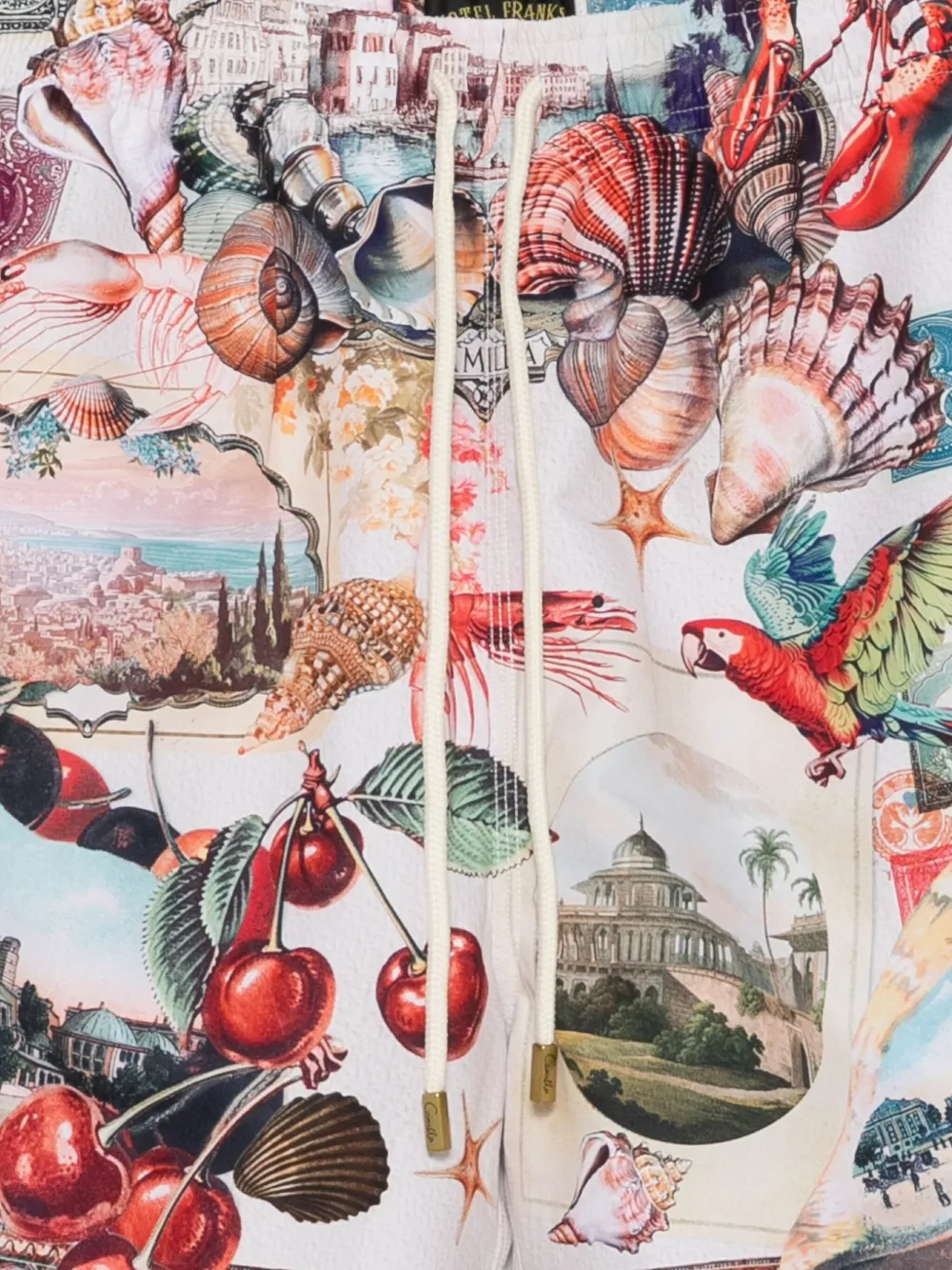 Camilla Mid Length Boardshort With Elastic Waist Notes From The Road In Multi