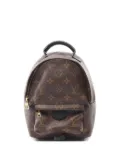 Louis Vuitton Pre-Owned 2017 Palm Springs backpack - Brown