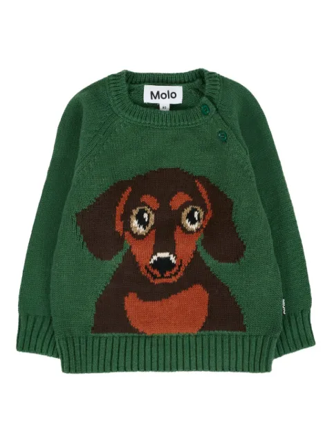 Molo dachshund-intarsio sweater