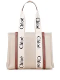 Chloé Pre-Owned 2023 Medium Canvas Woody tote bag - Brown