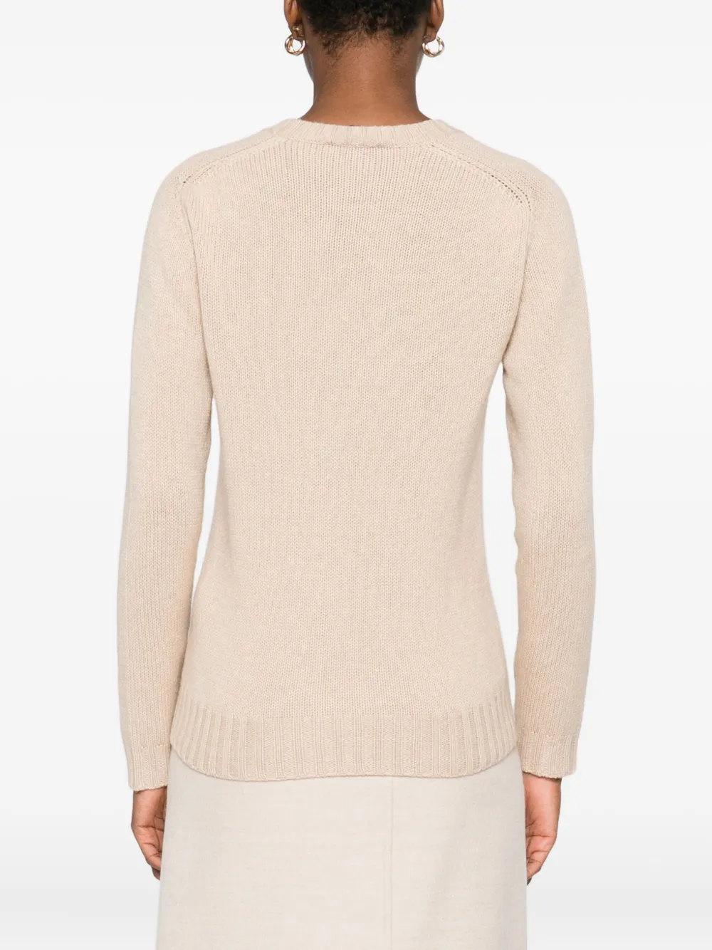 Fabiana Filippi Sequin-embellished Crew-neck Sweater In Brown