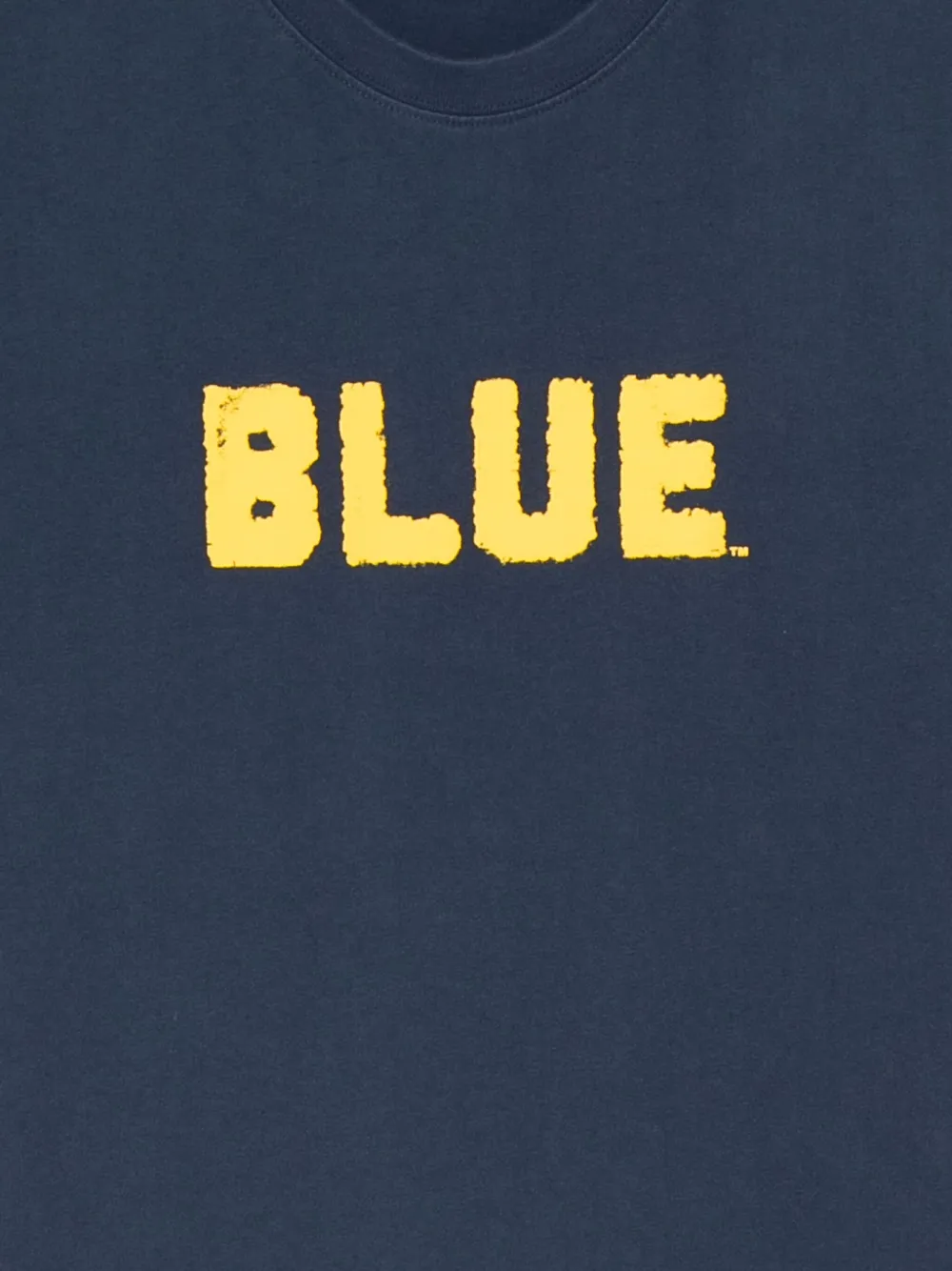 RASSVET T-shirt met Blue-print Blauw