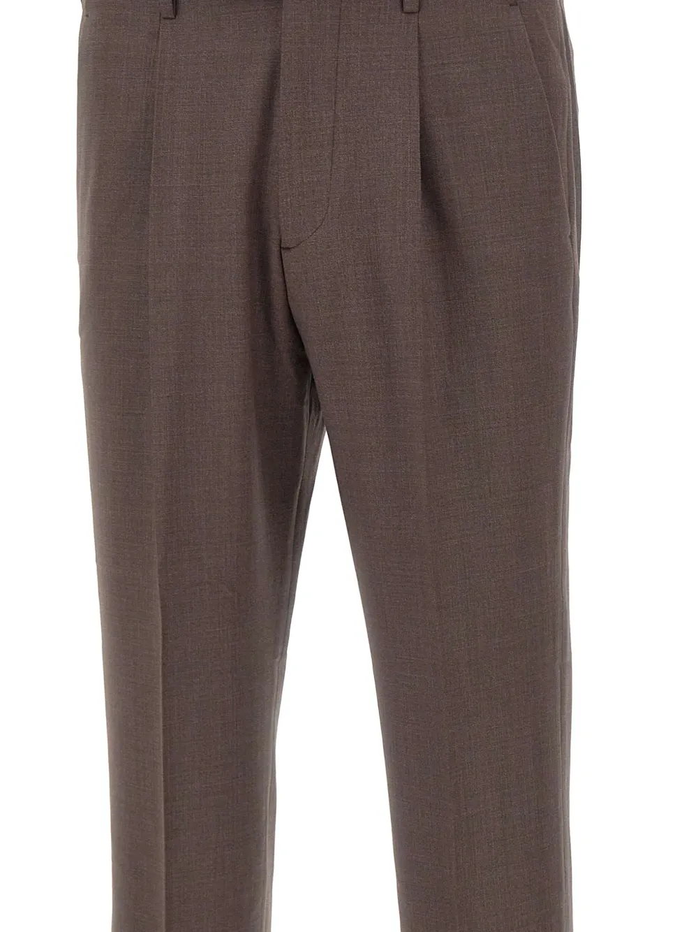 Devore Pleated-front Trousers In Brown