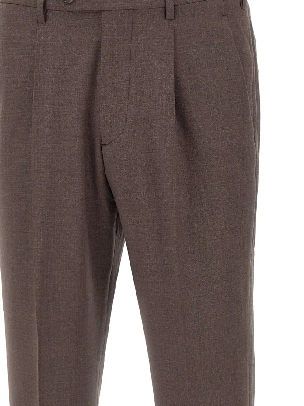 Devore Pleated-front Trousers In Brown