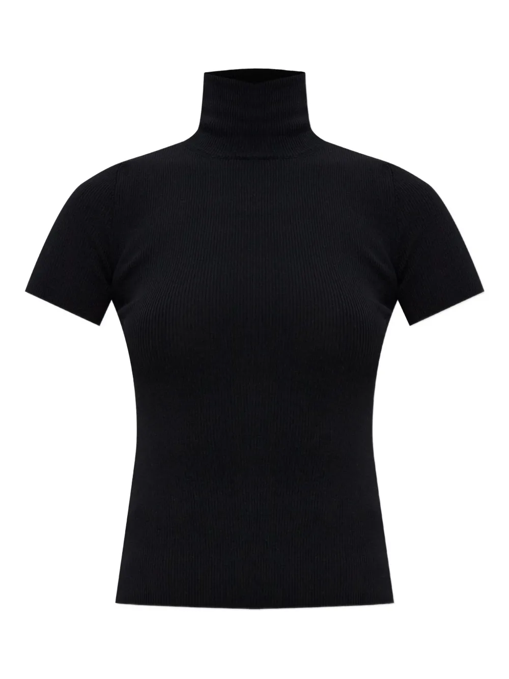 Max Mara Ribbed Turtleneck Top In Black