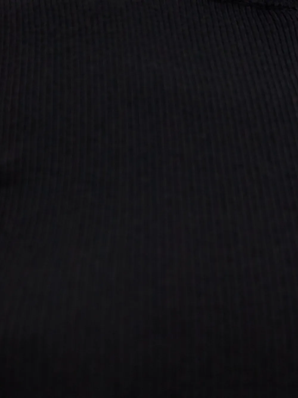 Max Mara Ribbed Turtleneck Top In Black