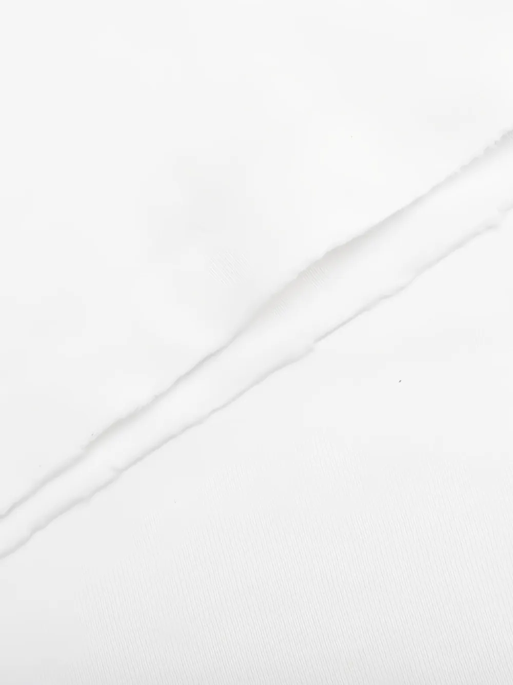 Represent Thoroughbred Dog handgetekend T-shirt Wit