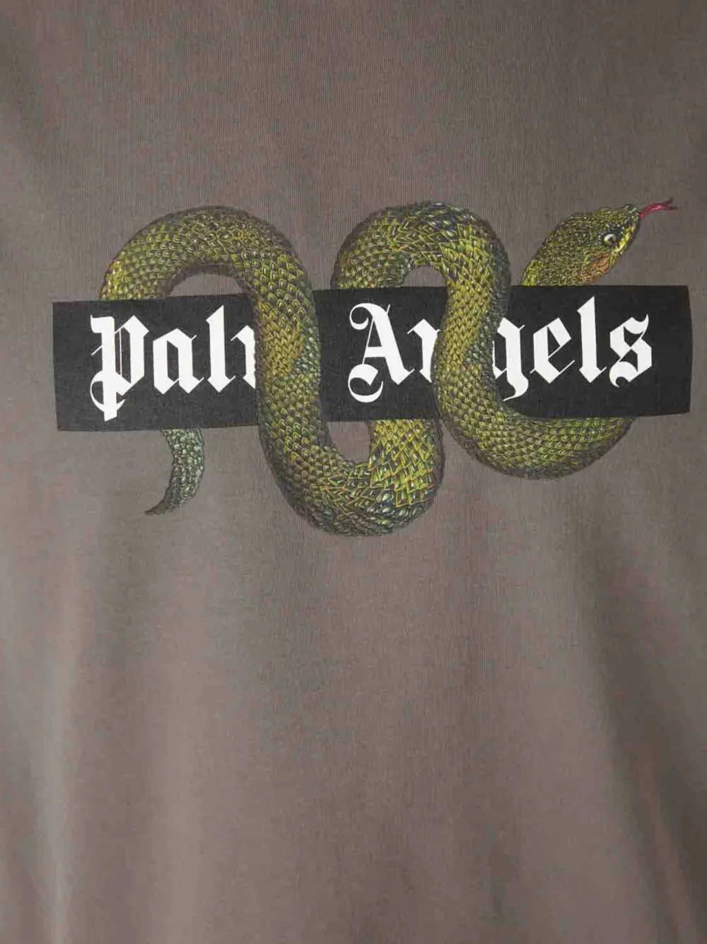 Palm Angels Snake Box Logo T-shirt In Green