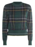 Alexander McQueen plaid sweater - Green