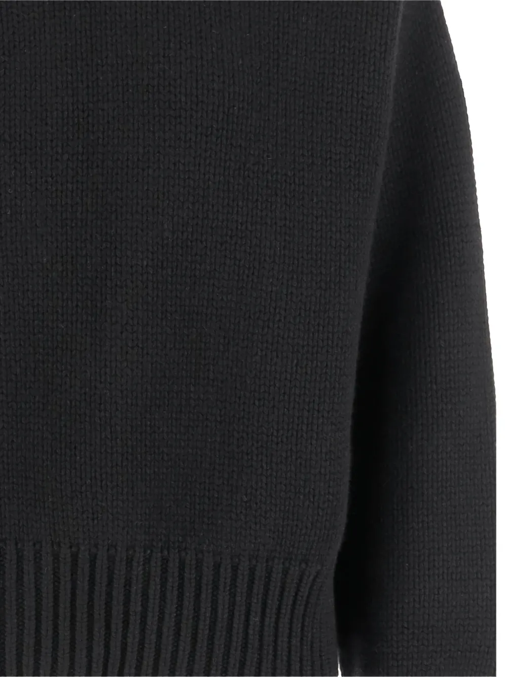 Sa Su Phi Turtleneck Open-back Sweater In Black