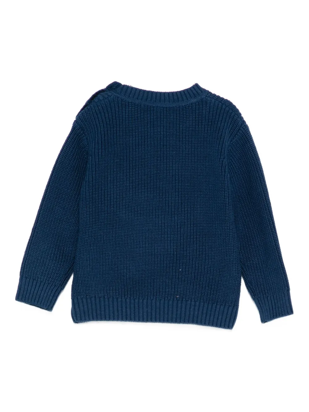Stella Mccartney Monster-face Ribbed Sweater In Blue