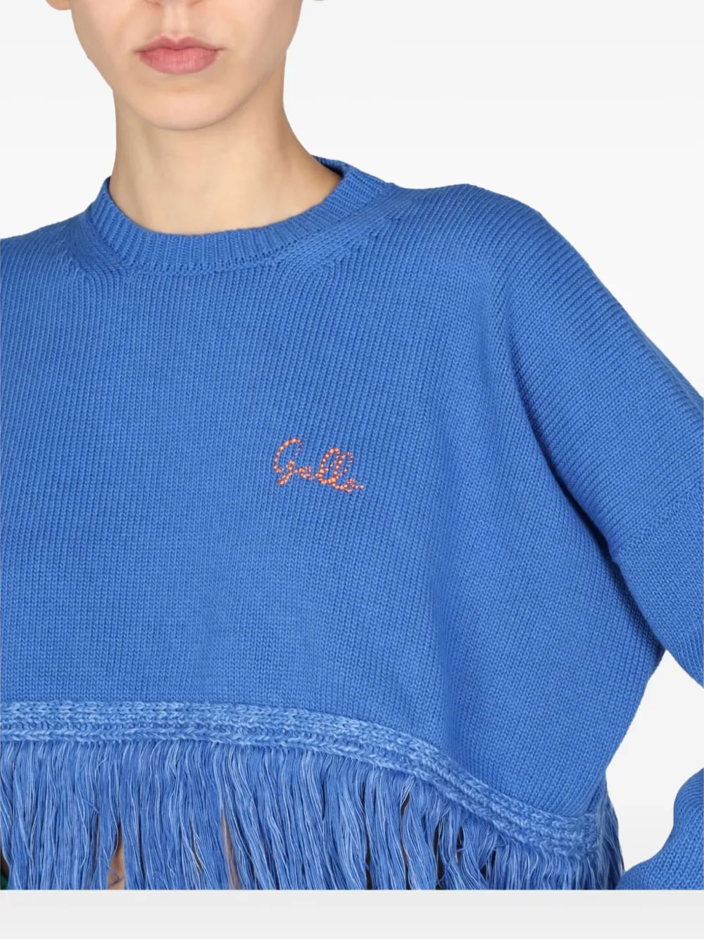 Gallo Fringed Long-sleeves Sweater In Blue