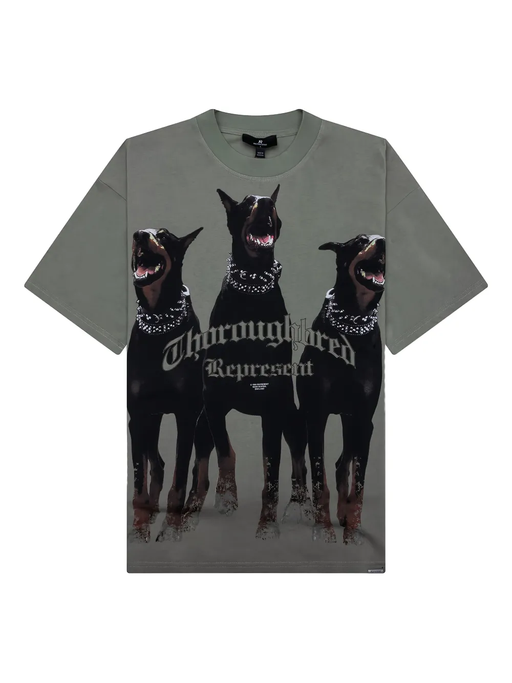 Represent dog-print T-shirt | Green | Image 1