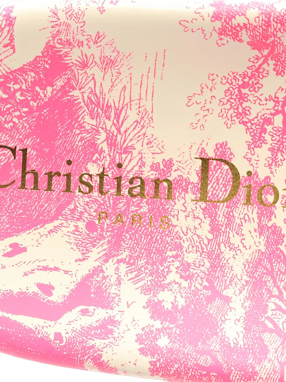 Pre-owned Dior Floral-print Canvas Slide Sandals In Pink