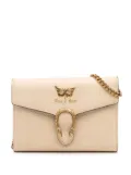 Gucci Pre-Owned 2000-2015 Mini Pebbled Calfskin Garden Dionysus Wallet on Chain crossbody bag - Brown