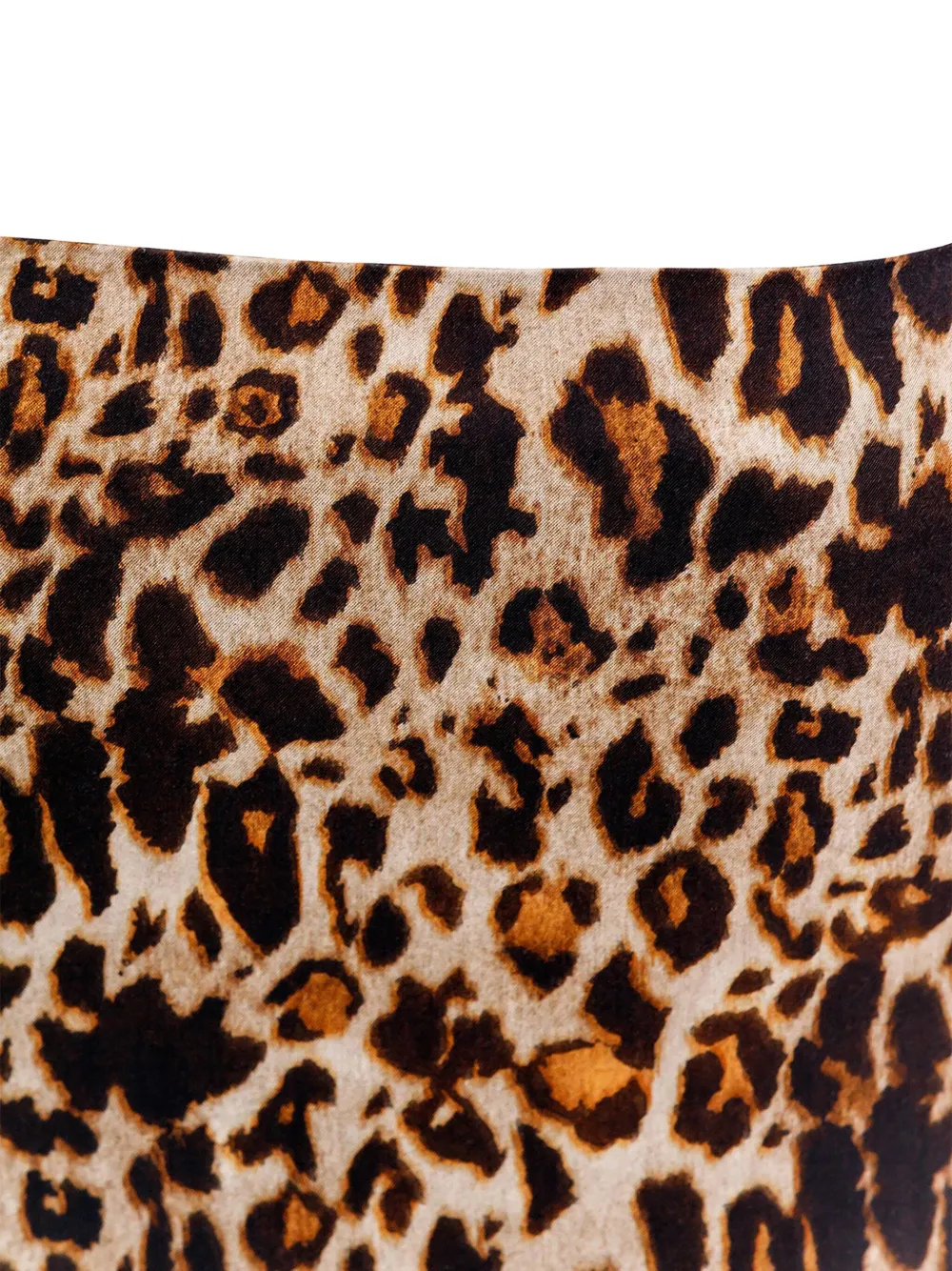 Agua Bendita Leopard-print Top In Brown