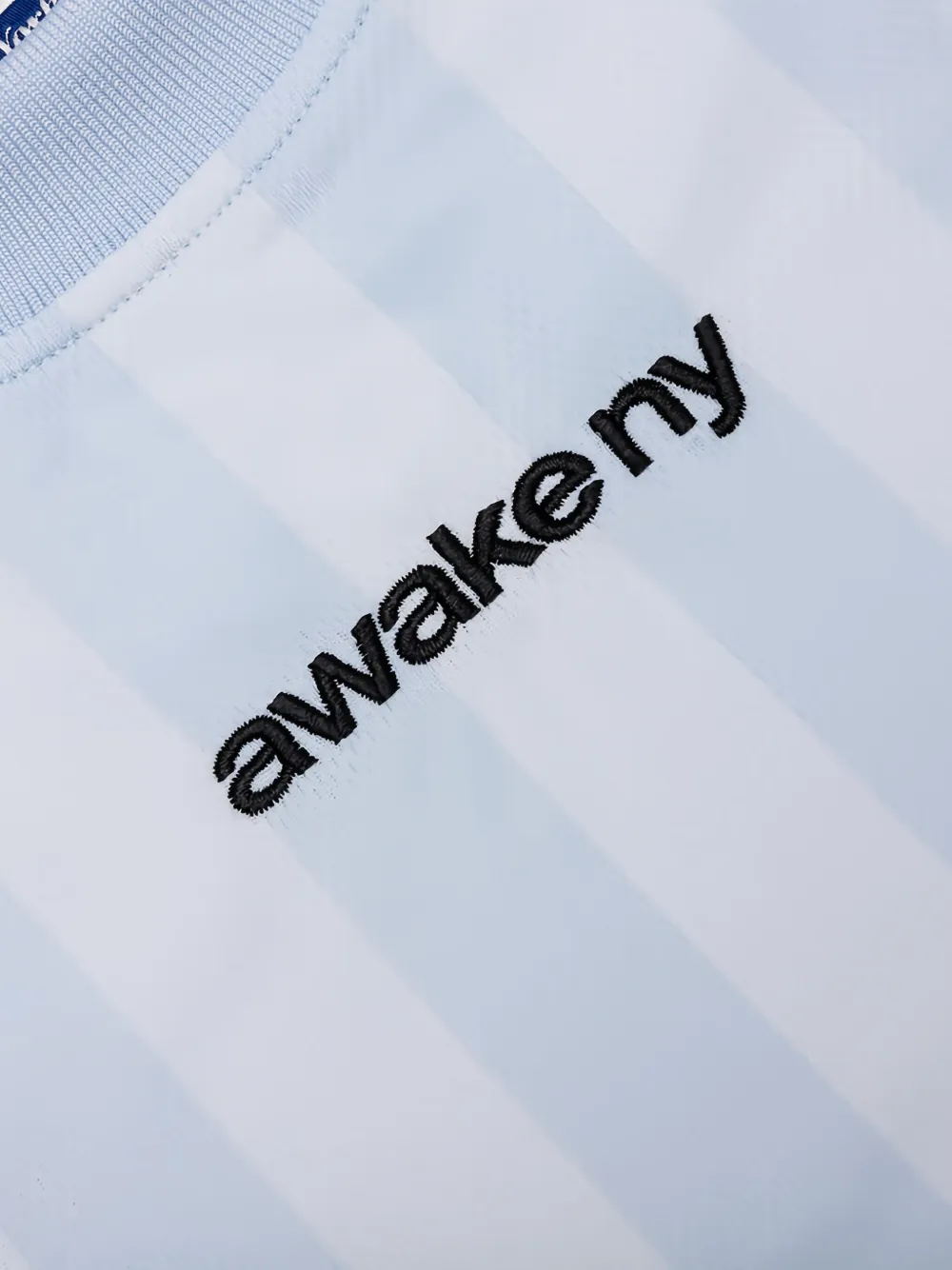 Awake NY Gestreept T-shirt Blauw