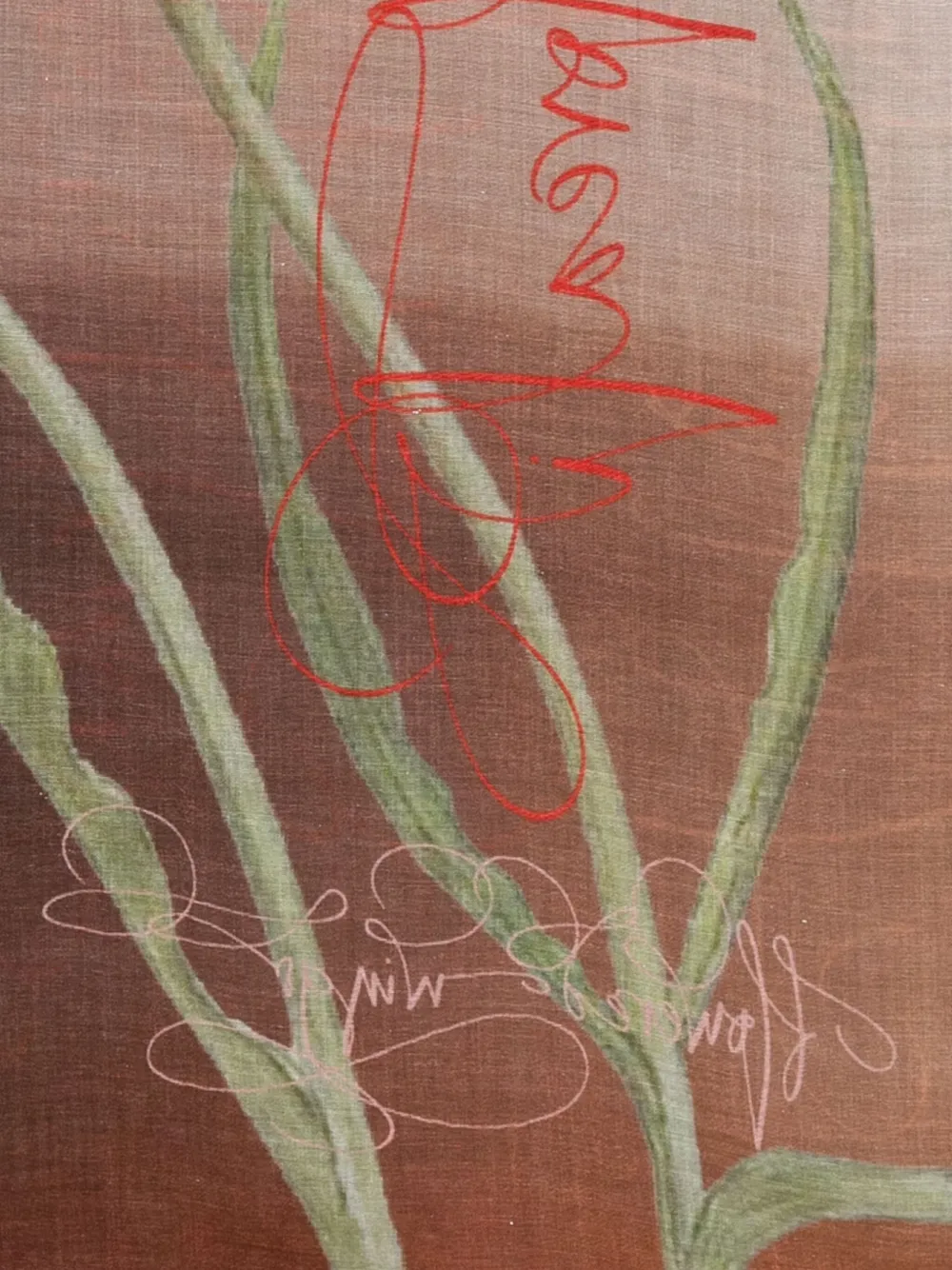 Faliero Sarti Floral-print Silk Scarf In Neutral