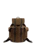 Louis Vuitton Pre-Owned 2021-2025 Monogram Macassar Christopher MM backpack - Black