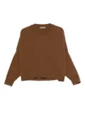 Dusan crew-neck boxy sweater - Brown