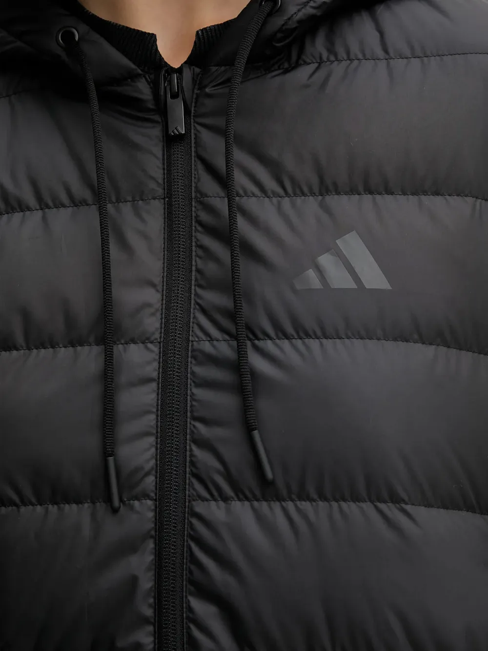 adidas padded hooded coat Zwart