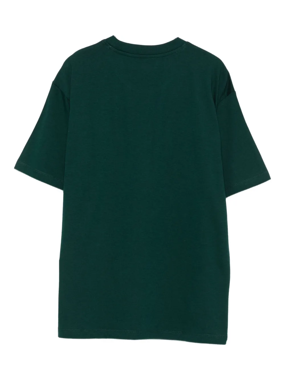 Carhartt Chase T-shirt In Green