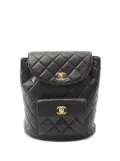 CHANEL Pre-Owned 1994-1996 Quilted Lambskin Duma backpack - Black