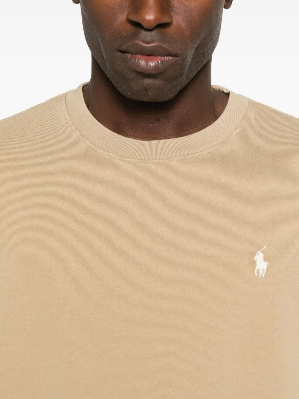 Polo Ralph Lauren Polo Pony Cotton Sweatshirt In Neutral