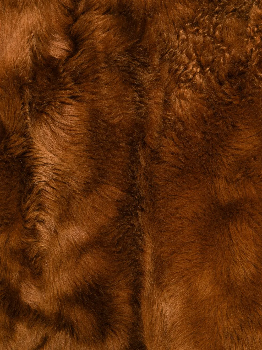 Sapio Shearling Roll-neck Scarf In Brown