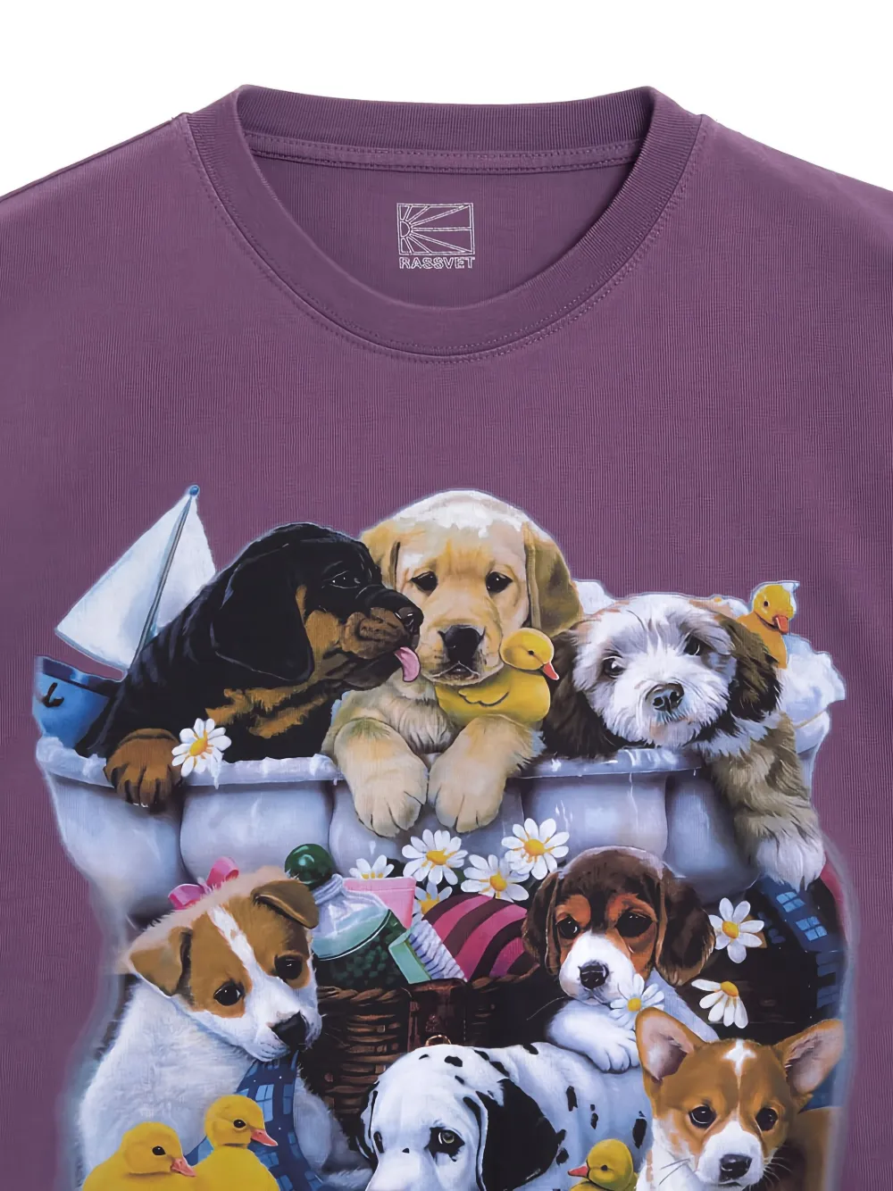 Rassvet Graphic-print T-shirt In Purple