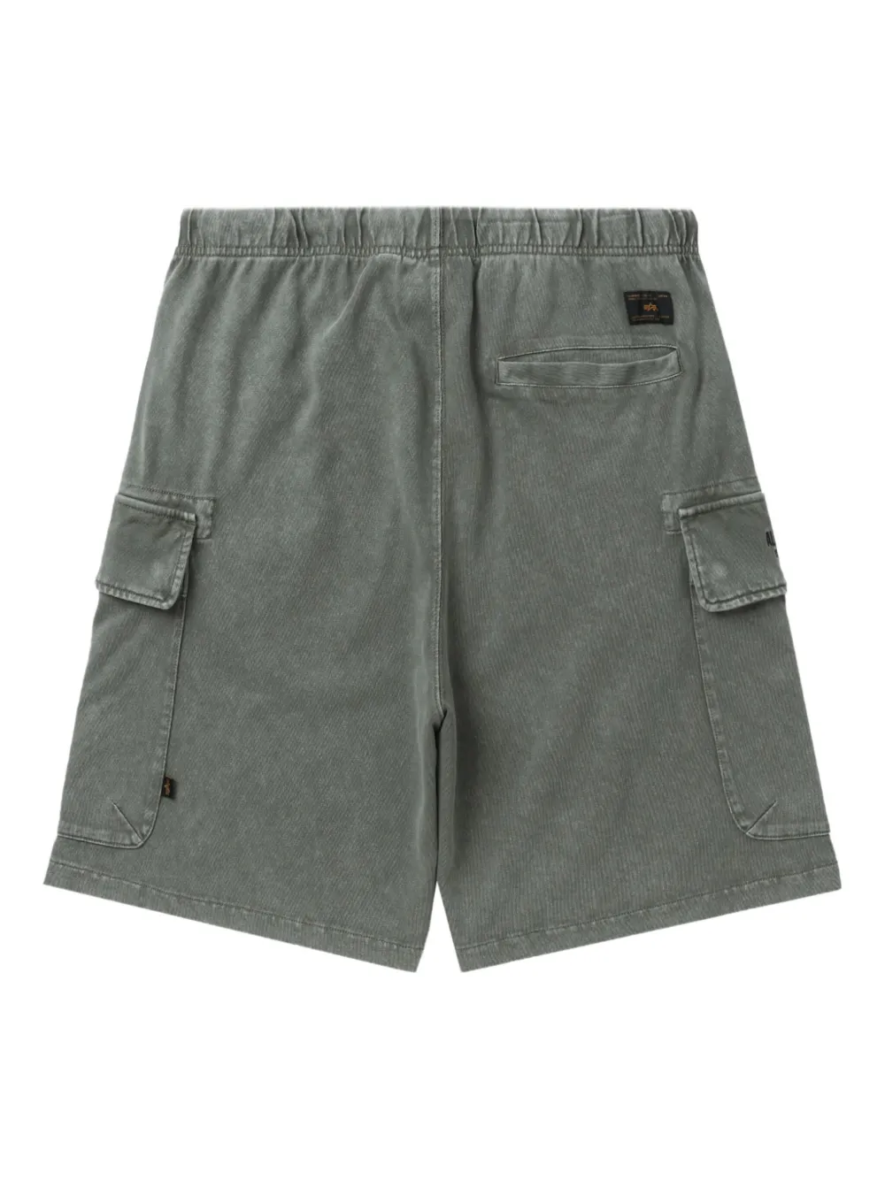 Alpha Industries Cargo shorts Groen