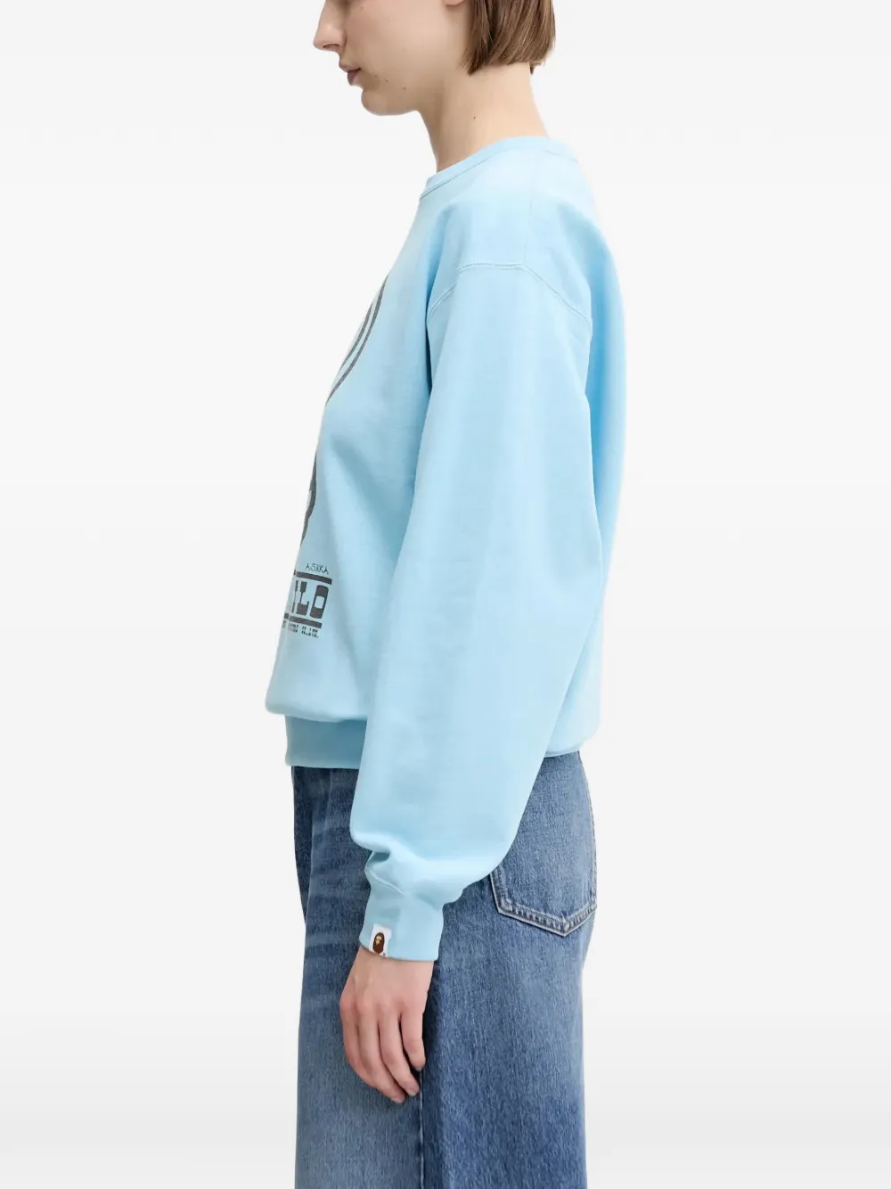 A Bathing Ape Baby Milo Volume Crew-neck Sweatshirt In Multi