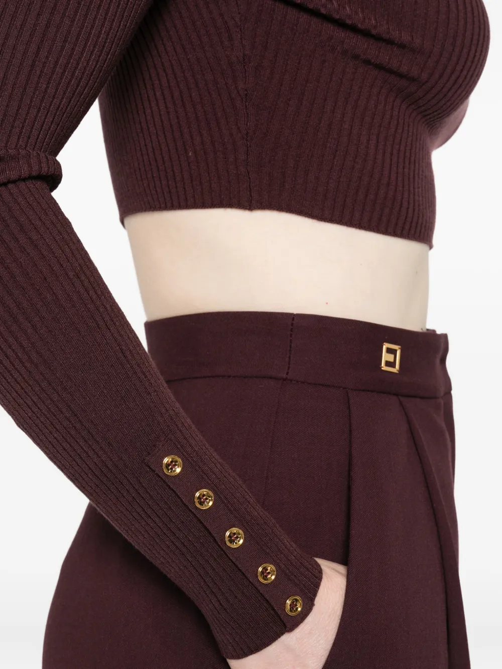 Elisabetta Franchi Ribbed Crop Top In Brown