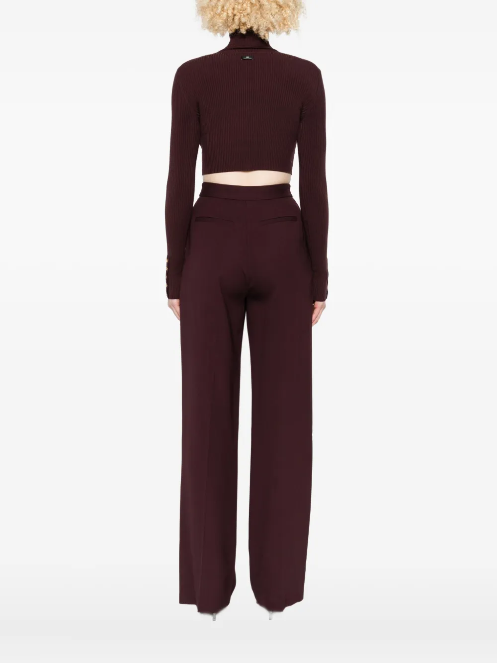 Elisabetta Franchi Ribbed Crop Top In Brown