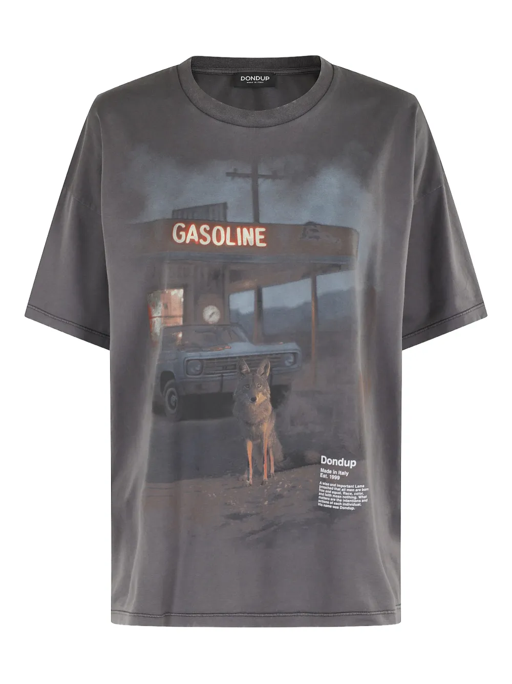 DONDUP playera con motivo gráfico | gris | Image 1