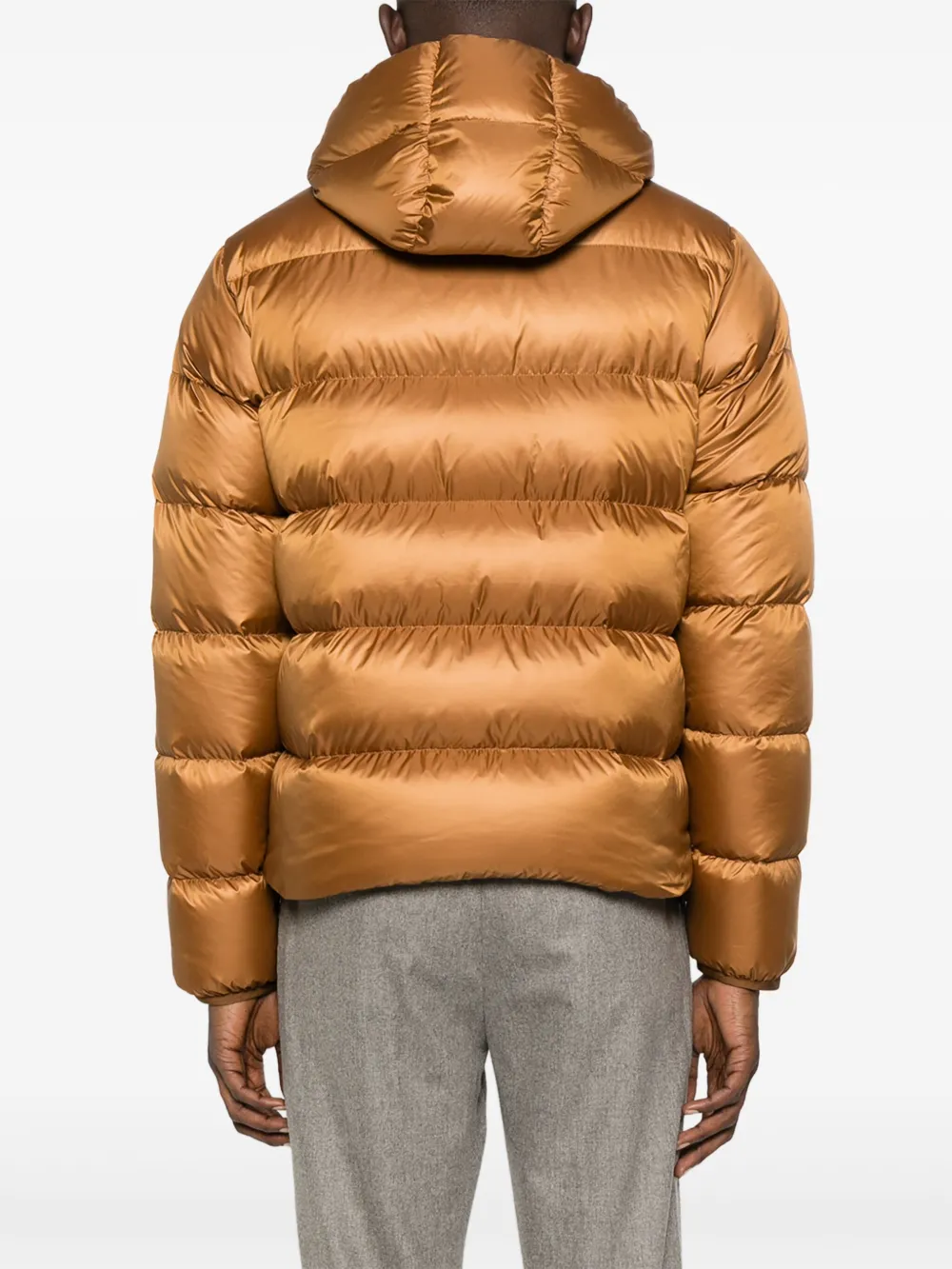 ASPESI Donsjas met capuchon Bruin