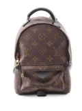 Louis Vuitton Pre-Owned 2016 Monogram Mini Palm Springs backpack - Brown