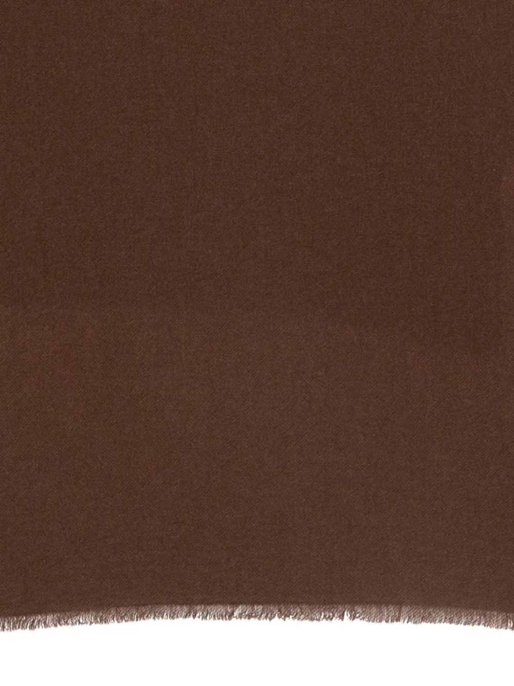 19 Andrea's 47 Fringed-trim Scarf In Brown