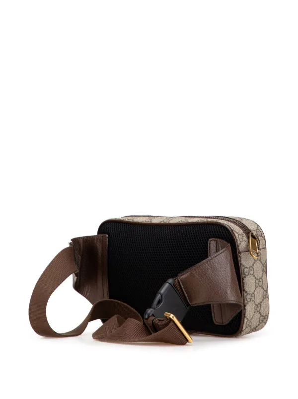 Gucci Pre-Owned 2016-2025 スモール GGスプリーム オフィディア