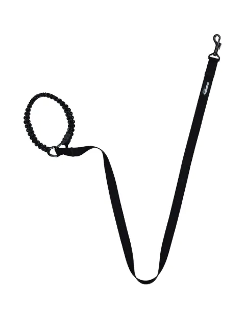 Neighborhood braided-loop dog leash