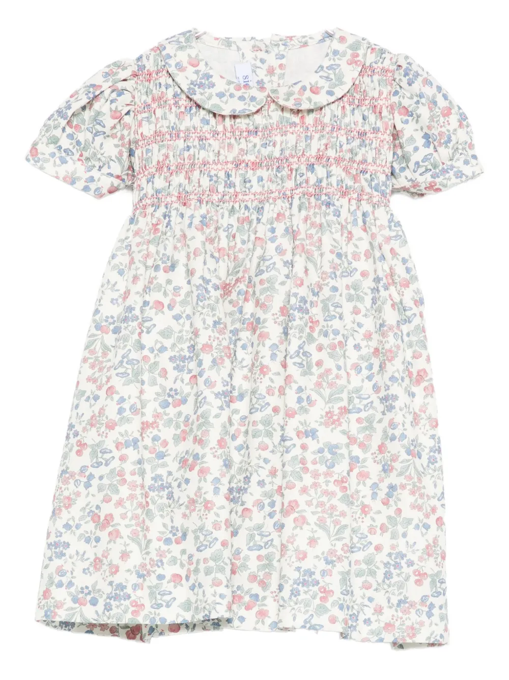 Siola Floral-print Dress In Multi