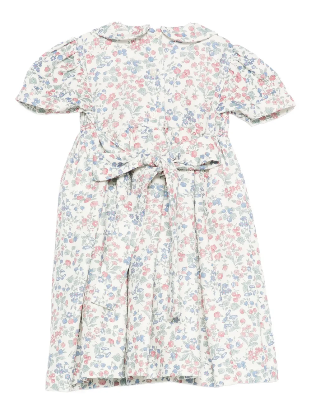 Siola Floral-print Dress In Multi