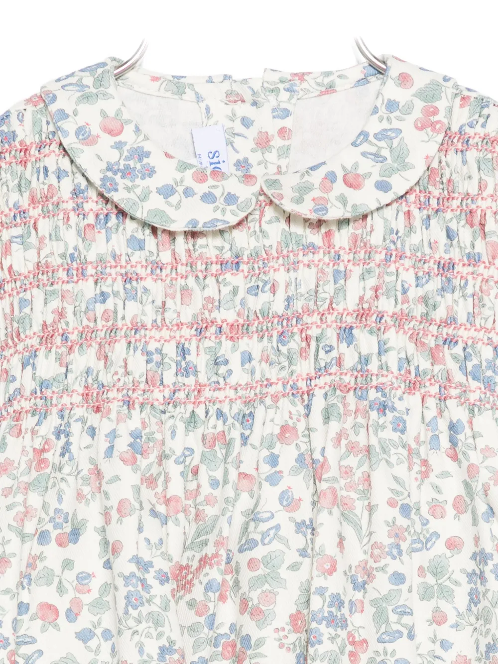 Siola Floral-print Dress In Multi