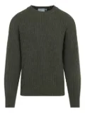 Carhartt WIP ribbed crew-neck sweater - Green