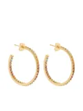 Crystal Haze Serena rainbow crystals hoop earrings - Gold