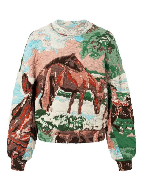Anntian wild horses sweater