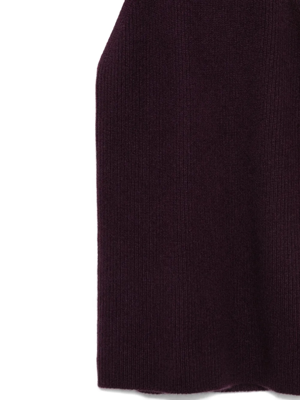 Lisa Yang High-neck Ribbed Top In Burgundy