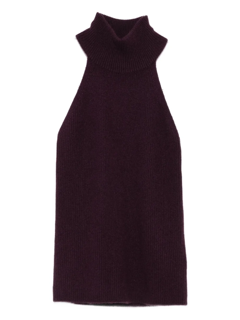 Lisa Yang High-neck Ribbed Top In Burgundy